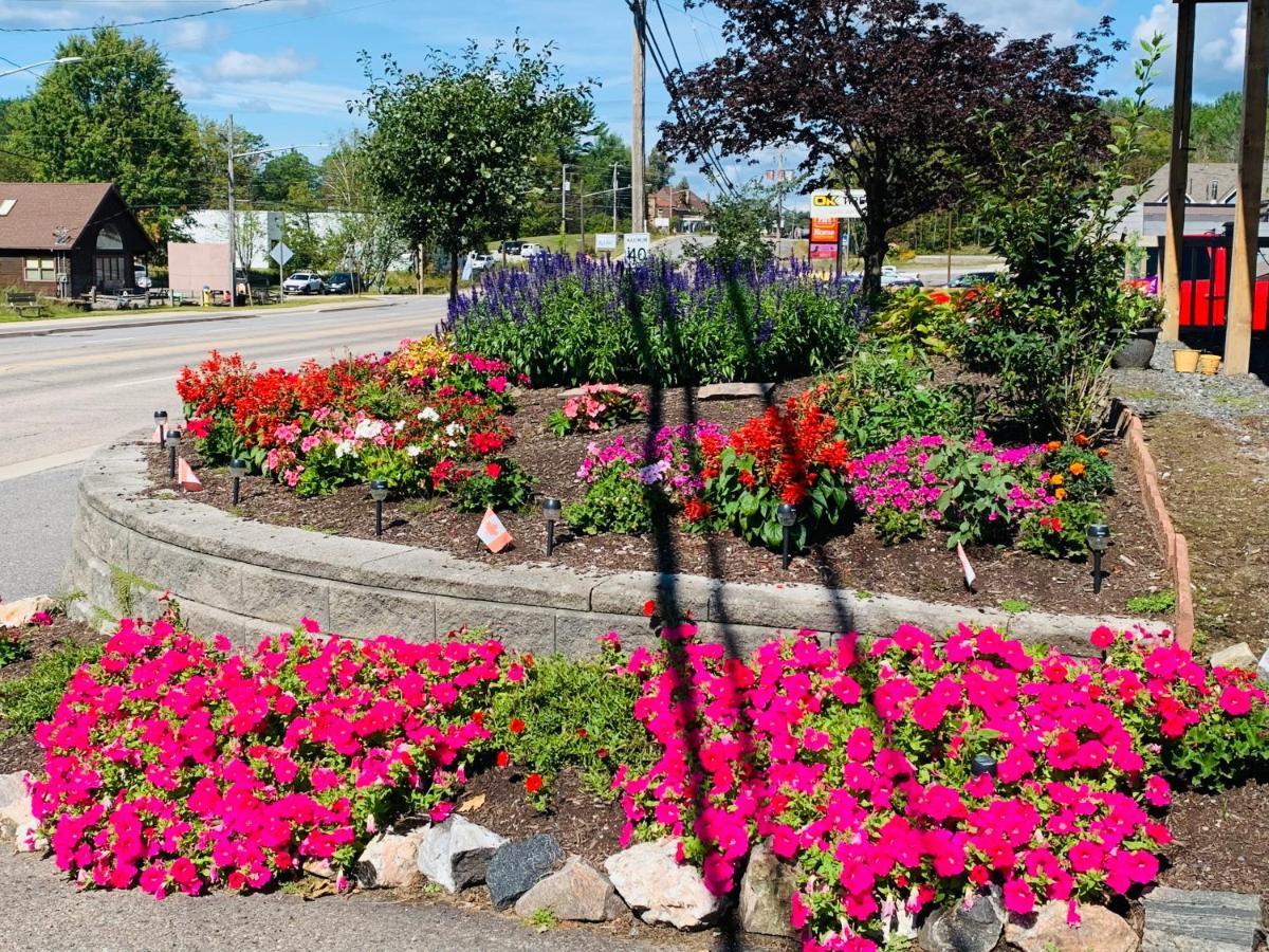 Town & Country Motel Parry Sound Dış mekan fotoğraf